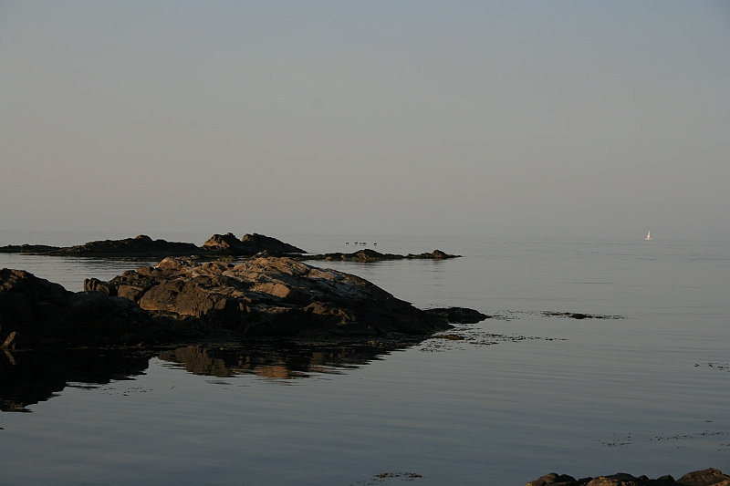 Original image